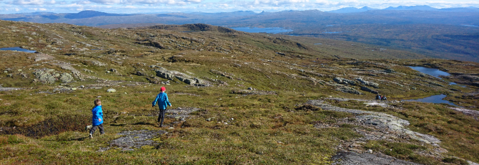 Andorfjellet Opp 2020